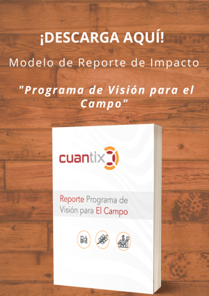 Oferta modelo de reporte