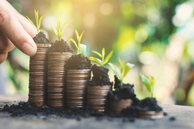 mano-femenina-dinero-mesa-fondo-naturaleza_36577-60